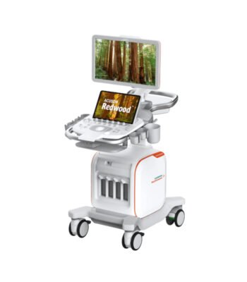 Siemens ACUSON Redwood Ultrasound System – Premium Performance with Portability