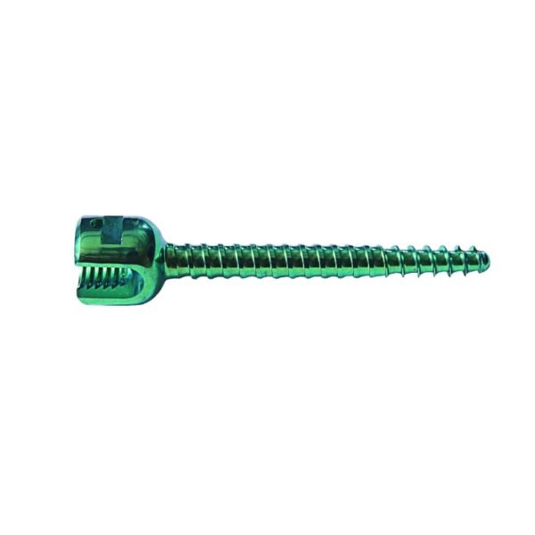 Mono Axial Screw (DT) – Dual Thread Titanium Pedicle Screw