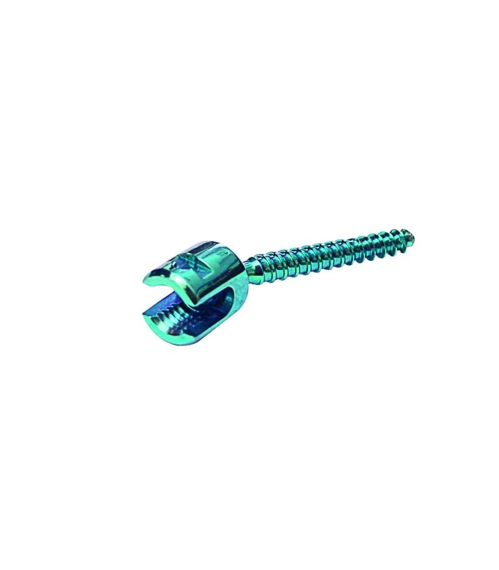 Polyaxial Screw (DT) – Dual Threaded Pedicle Screw for Spinal Fixation