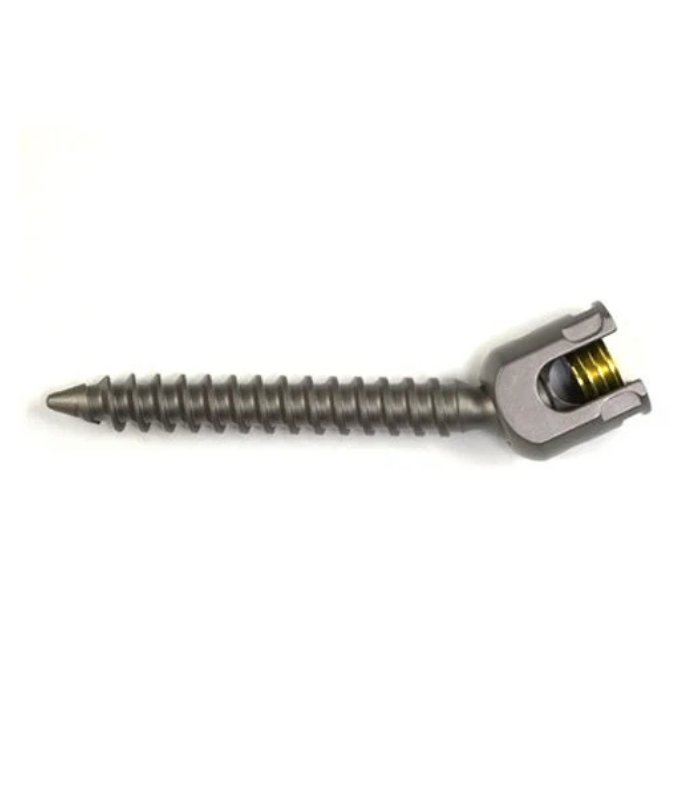Polyaxial Screw – Pedicle Screw for Flexible Spinal Fixation